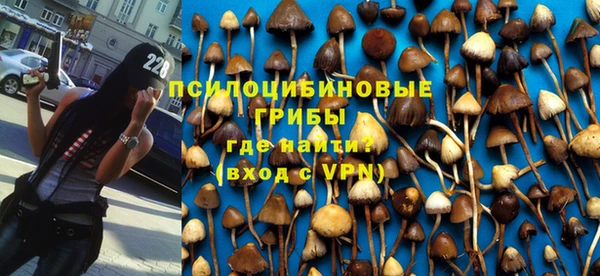 прущий лед Ладушкин