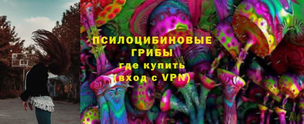 spice Кулебаки