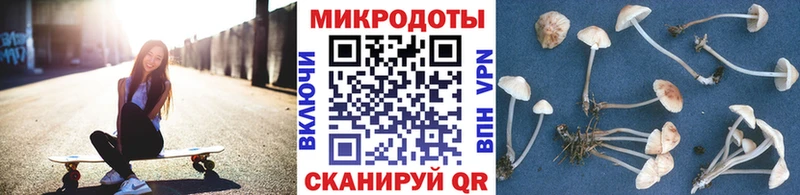 Купить закладки  Юрга  Псилоцибиновые грибы прущие грибы 